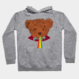 Animals with Rainbow Puke Teddy Bear Portrait Hoodie